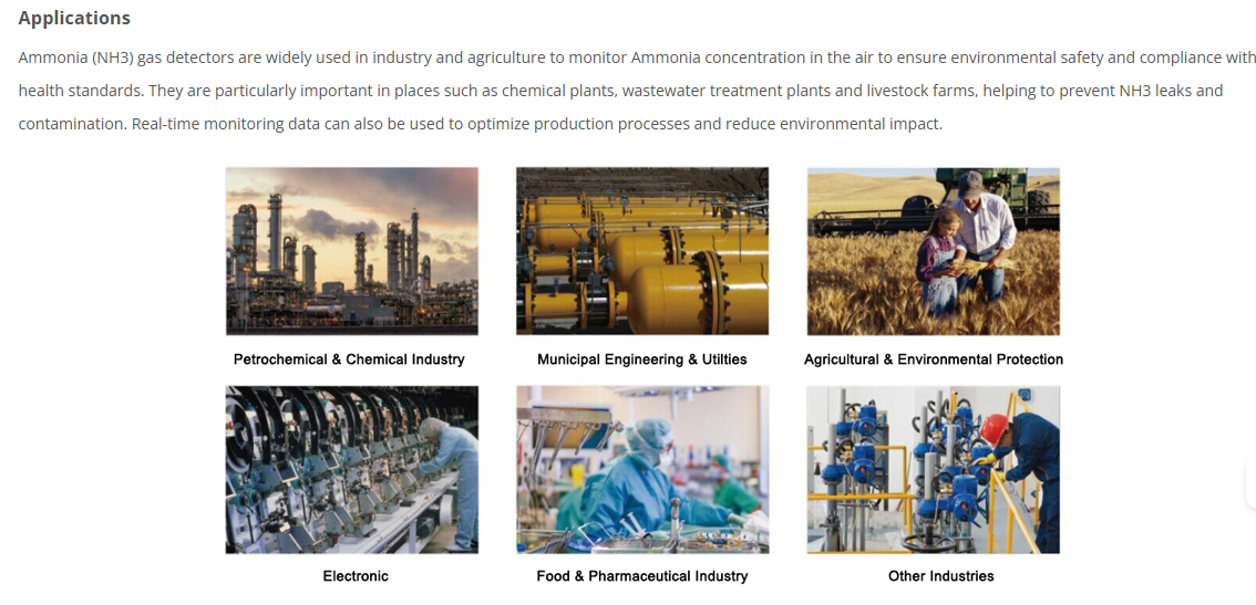 Ammonia (NH3) Monitor, 0 to 50/100 ppm